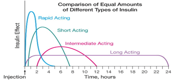 Long Acting Insulin Chart